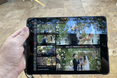 Streaming LIVE from Living Sculpture Sanctuary