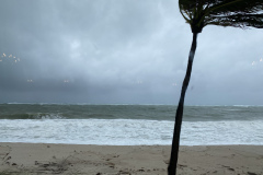 Streaming LIVE  from The Pelican Grand Beach Resort during a hurricane warning!