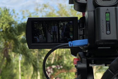 Streaming LIVE from your backyard
